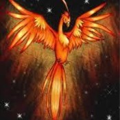 SiriusPhoenix's profile picture