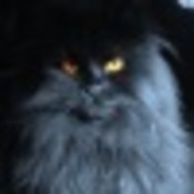 bonzuser_xbjdh's profile picture