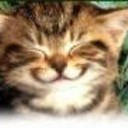 TheCatsMeowBox's profile picture