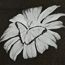 bradsglassart's profile picture