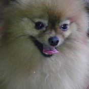 bobbi_s's profile picture