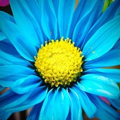 Elegant_Reusables's profile picture