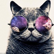 Max_fbcfncq's profile picture