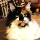 gladsbag's profile picture