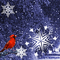 AtticCollection's profile picture