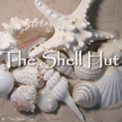 shellhut's profile picture