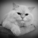 Melinda227's profile picture