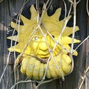 tomstuff's profile picture
