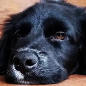 PeteP13's profile picture
