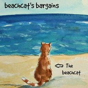 beachcat's profile picture
