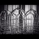 Phoenix_Finds's profile picture