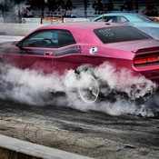 bonzbuyer_fempe's profile picture