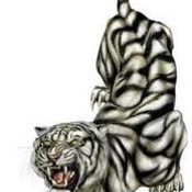 mathewsaw's profile picture