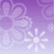 broobargains's profile picture