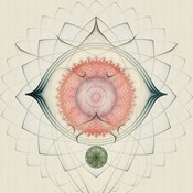 halo_13's profile picture