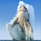 AnitaA38's profile picture