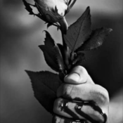 lifelovesyou's profile picture
