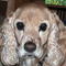 MommyOf2QTsScentWork's profile picture