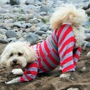 Mozzie_Pants's profile picture