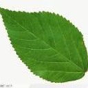 coslife's profile picture