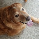 Janes_Emporium's profile picture