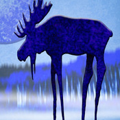 CarbonB's profile picture