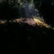 rkerwood's profile picture