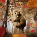 TheJourneywithin's profile picture