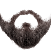 beardface's profile picture