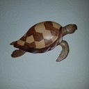 TurtleCreamBeans's profile picture