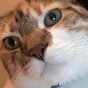 FabcaridadF's profile picture