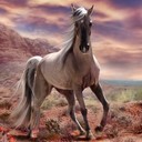 loneelk's profile picture