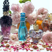 Authentic_perfumes's profile picture