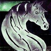 whitehorseba's profile picture