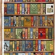 Bookshelf cropped thumb175