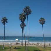 Ob thumb175