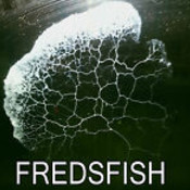 fredsfish's profile picture
