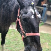 Mamacass77's profile picture