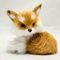 Gold_Puff's profile picture
