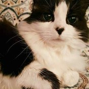 MsFigs76's profile picture
