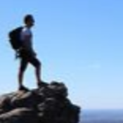mountainbrands's profile picture