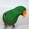 jasper2015originals's profile picture
