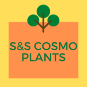 ss_cosmo's profile picture