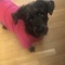 Cupcakes_Beauty's profile picture