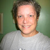 SchoppCollectibles's profile picture