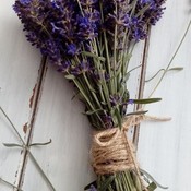 Bellesque_Boutique's profile picture