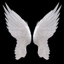 elegant_wings's profile picture
