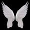 elegant_wings's profile picture