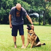 LoveDogInc's profile picture