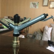 SaeedD5's profile picture